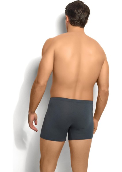 Erkek Bambu Füme Boxer 278 modelleri