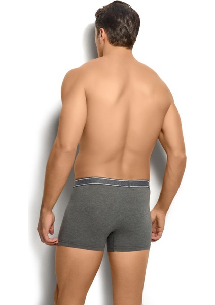 Erkek Antrasit Likralı Boxer 277 modelleri