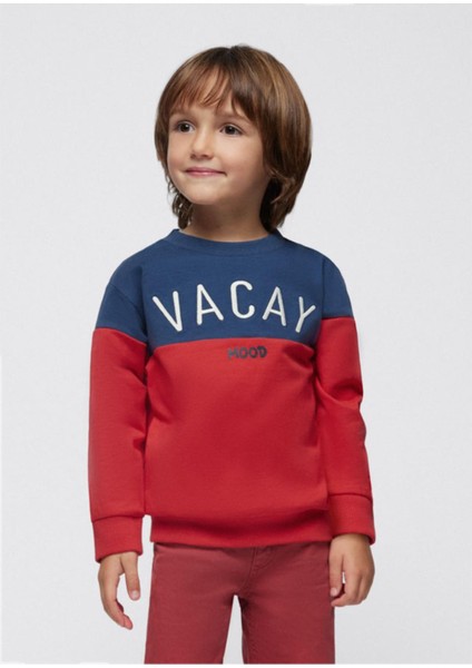 Erkek Çocuk Sweatshirt Iki Renkli