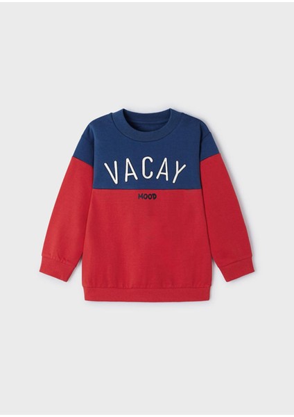 Erkek Çocuk Sweatshirt Iki Renkli