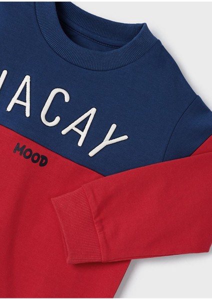 Erkek Çocuk Sweatshirt Iki Renkli