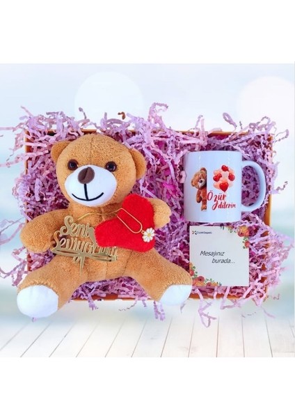 Özür Dilerim Beni Affet Hediye Paketi, Papatya Kolye, Peluş Kalpli Ayı, Mug Kupa