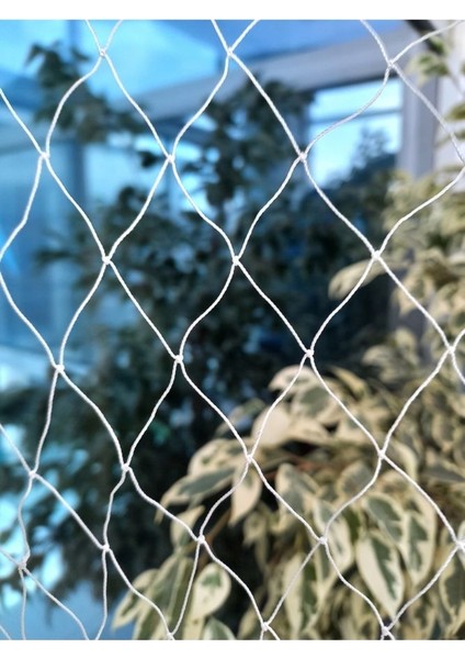 Kuş Filesi 2,5X50 Metre Kuş Ağı Balkon Ağı Kedi Filesi Balkon Filesi Güvercin Kuş Önleme Filesi
