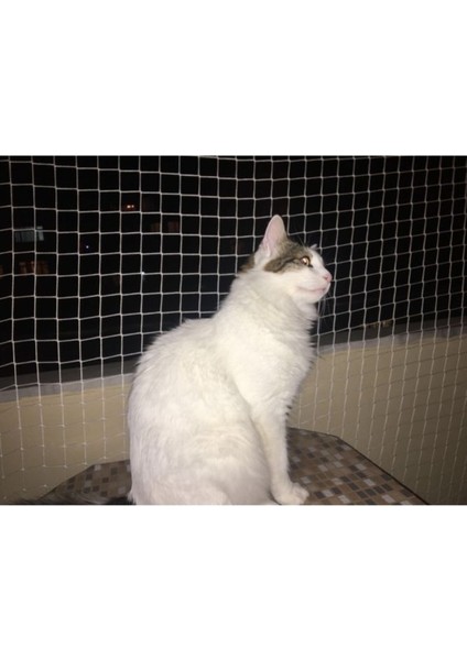 Kuş Filesi 2,5X50 Metre Kuş Ağı Balkon Ağı Kedi Filesi Balkon Filesi Güvercin Kuş Önleme Filesi indirimleri