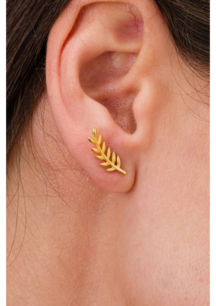 Gold Zeytin Dalı Minimal Çivili Gümüş Küpe