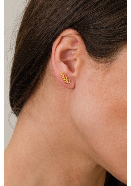 Gold Zeytin Dalı Minimal Çivili Gümüş Küpe fiyatları