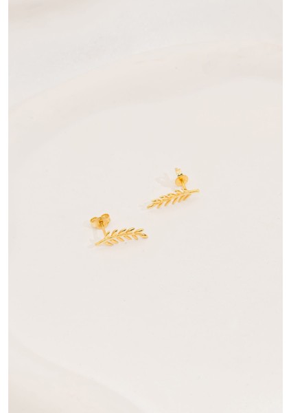 Gold Zeytin Dalı Minimal Çivili Gümüş Küpe modelleri