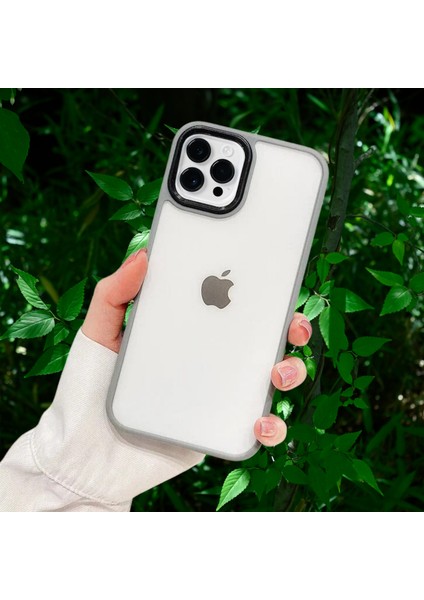 Apple iPhone 11 Pro Yanları Renkli Silikon Parlak Arka Yüzeyli Tiger Hibrit Kapak