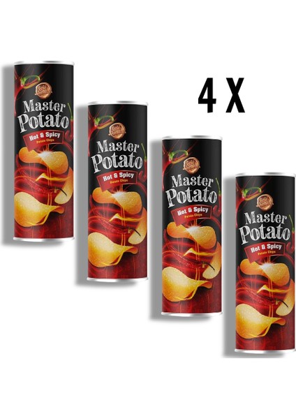 Master Patato Acı ve Baharat Çeşnili 160GR Hot Spicy 4 X160 gr