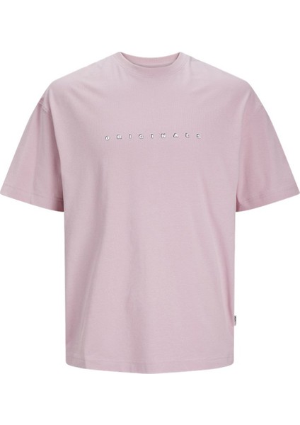 Joreaster Actıvıty Tee Ss Pembe Erkek Kısa Kol T-Shirt fiyatları