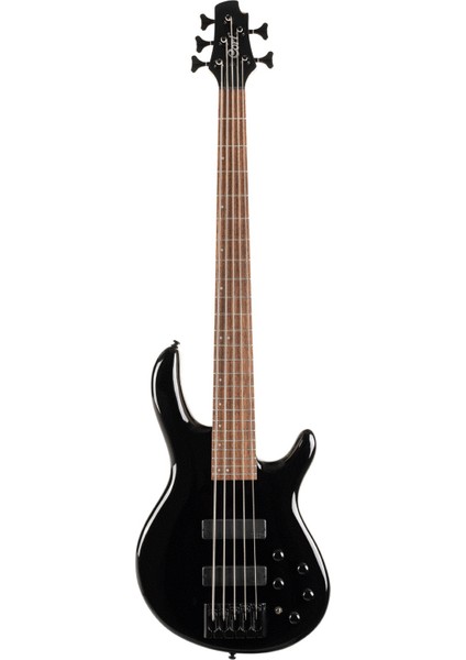 C5 Deluxe Bk 5 Telli Bas Gitar