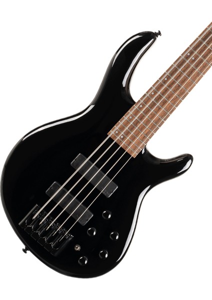 C5 Deluxe Bk 5 Telli Bas Gitar