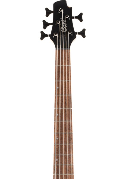 C5 Deluxe Bk 5 Telli Bas Gitar