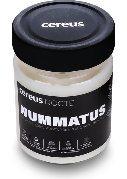 Nocte Nummatus Paçuli & Vanilya Kokulu Soya Mum (210 Gr)