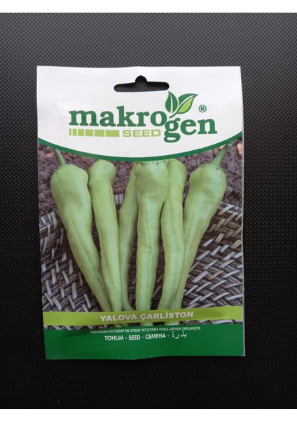 Makrogen Seed Çarliston Biber (Yalova)