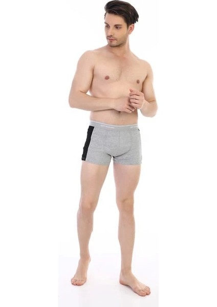 Zenwave Çift Kaplan 850 Biyeli Likralı Erkek Boxer