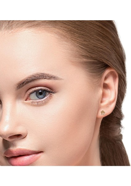 Zirkon Taşlı Çift Yıldız Rose Küpe