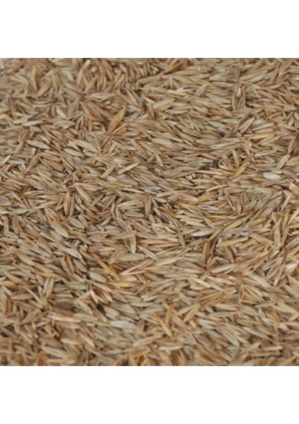 4 Mevsim Çim Tohumu 1 kg