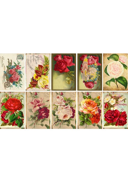 Gül Temalı Kartpostal Seti (10X15 cm 10 Adet)