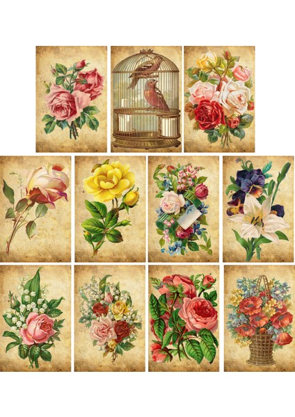 Gül Temalı Kartpostal Seti (10X15 cm 11 Adet)