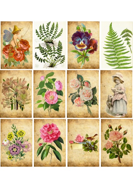 Gül Temalı Kartpostal Seti (10X15 cm 12 Adet)