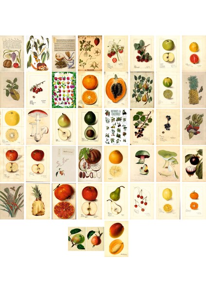 Meyveler Temalı Kartpostal Seti (10X15 cm 43 Adet)