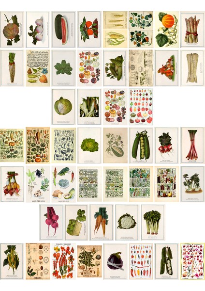 Sebzeler Temalı Kartpostal Seti (10X15 cm 49 Adet)