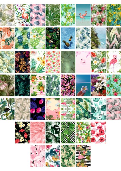 Tropik Temalı Kartpostal Seti (10X15 cm 50 Adet)