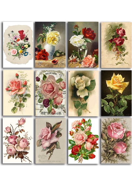 Gül Temalı Kartpostal Seti (10X15 cm 12 Adet)