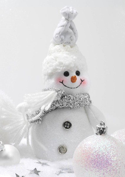 Dikey Karne Kabı ( 24 Ad)