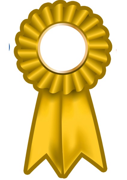 Yazılabilir Kağıt Rozet (8X12 cm 25 Adet)