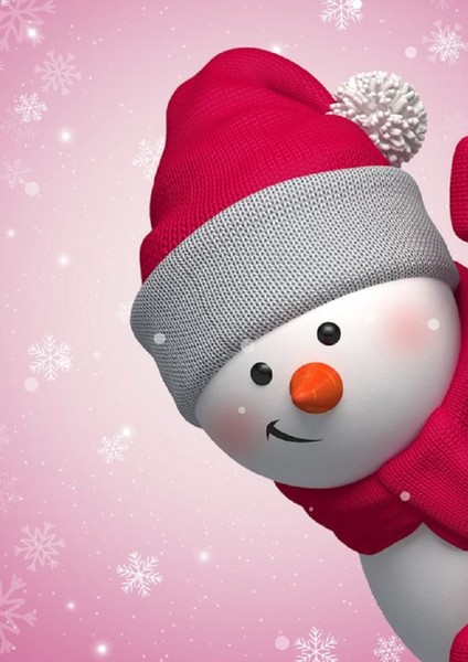 Dikey Karne Kabı ( 24 Ad)