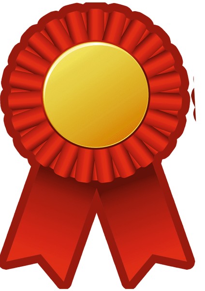 Yazılabilir Kağıt Rozet (8X12 cm 25 Adet)