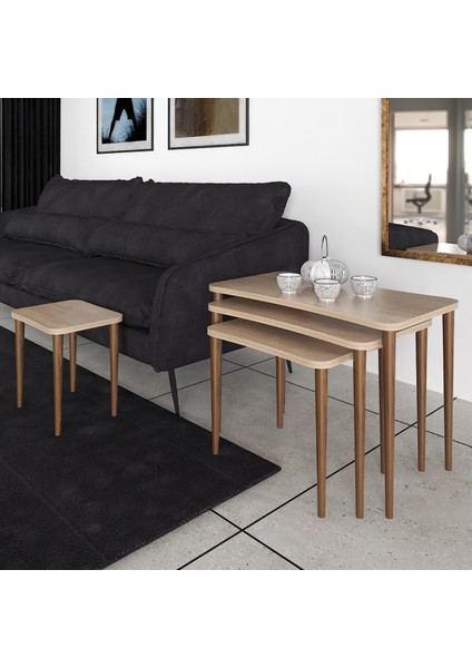 Aleyna Orta Sehpa ve Zigon Sehpa Ahşap Ayaklı Çay Kahve Sehpası Xl 5'li Salon Seti - Sonomo