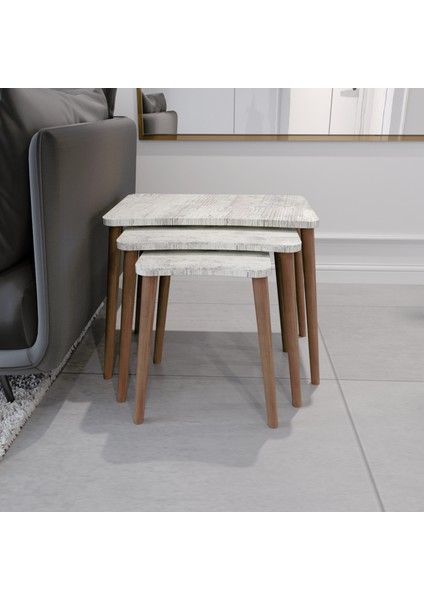 Esma Orta Sehpa ve Zigon Sehpa 4'lü Ahşap Ayaklı Salon Seti Sehpa - Kristal fiyatları