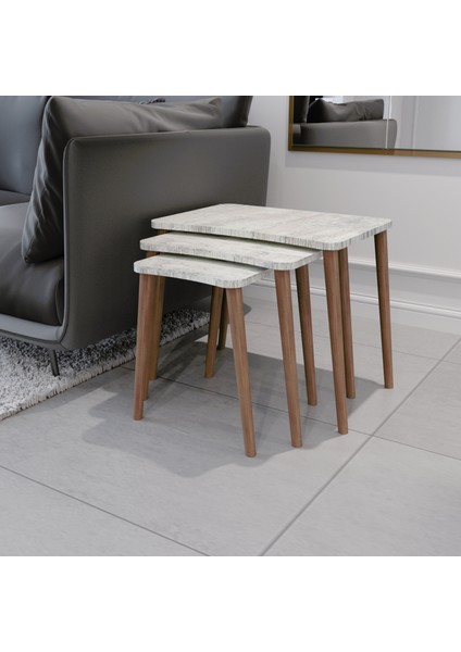 Esma Orta Sehpa ve Zigon Sehpa 4'lü Ahşap Ayaklı Salon Seti Sehpa - Kristal fırsatları