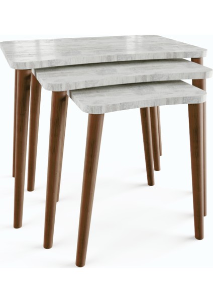 Esma Orta Sehpa ve Zigon Sehpa 4'lü Ahşap Ayaklı Salon Seti Sehpa - Kristal