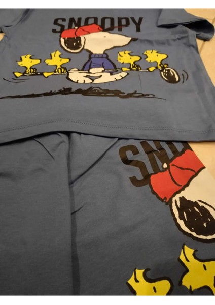 Erkek Çocuk Snoopy Baskılı Şortlu Takım fiyatları