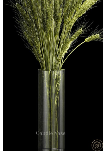 Silindir Cam Vazo Opak Desenli 25 cm Yükseklik 10 cm Genişlik Borosilikat El Imalatı