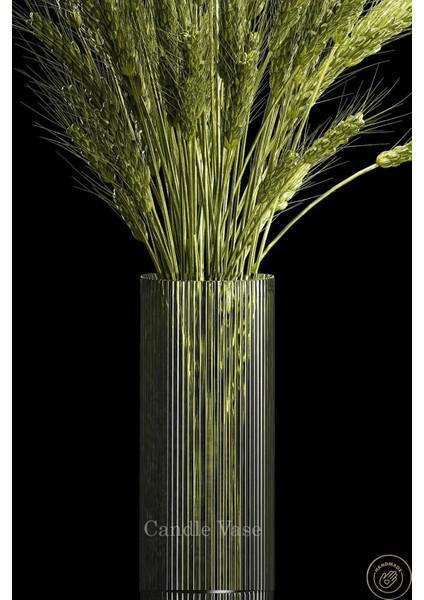 Silindir Cam Vazo Opak Desenli 25 cm Yükseklik 10 cm Genişlik Borosilikat El Imalatı modelleri