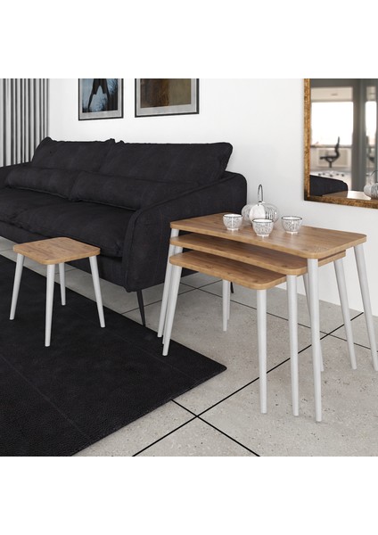 Selen 4lü Zigon Sehpa Ahşap Beyaz Ayaklı Salon Seti Çay Sehpası – Çam modelleri