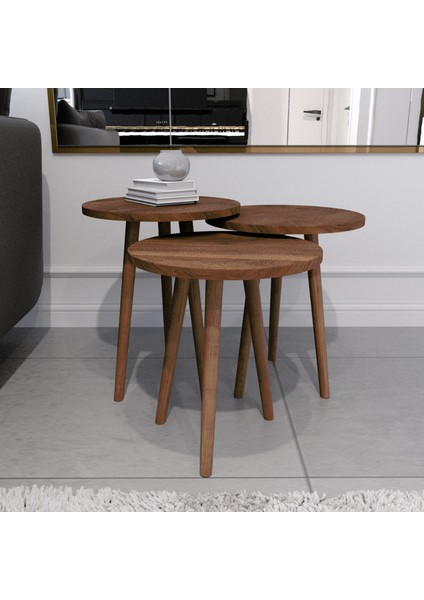 Tokyo Orta Sehpa ve Zigon Sehpa 4'lü Ahşap Ayaklı Salon Seti Sehpa - Ceviz modelleri