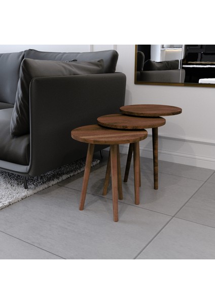 Tokyo Orta Sehpa ve Zigon Sehpa 4'lü Ahşap Ayaklı Salon Seti Sehpa - Ceviz fırsatları
