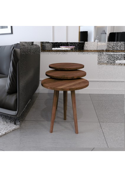 Tokyo Orta Sehpa ve Zigon Sehpa 4'lü Ahşap Ayaklı Salon Seti Sehpa - Ceviz indirimleri