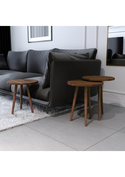 Tokyo Orta Sehpa ve Zigon Sehpa 4'lü Ahşap Ayaklı Salon Seti Sehpa - Ceviz