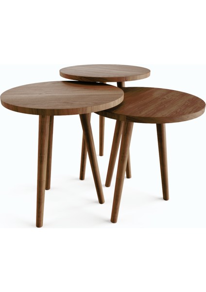 Tokyo Orta Sehpa ve Zigon Sehpa 4'lü Ahşap Ayaklı Salon Seti Sehpa - Ceviz