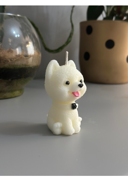 Chemdle Köpek Model Dekoratif Mum fiyatları