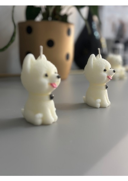 Chemdle Köpek Model Dekoratif Mum modelleri