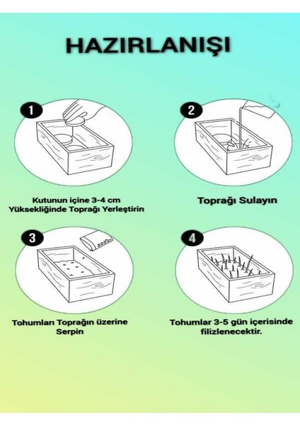 Organik Kedi Çimi Seti (Tüy Yumağı Önleyici)