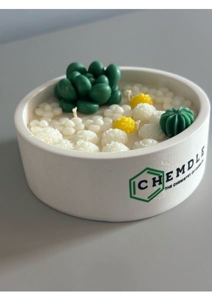 Chemdle Çiçek ve Sukulentli Terrarium Mum